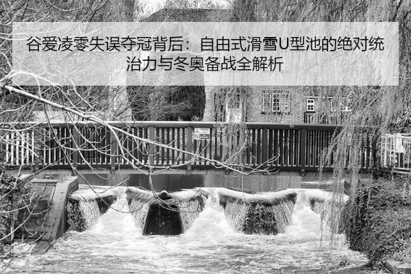 gu-ai-ling-ling-shi-wu-duo-guan-bei-hou-zi-you-shi-hua-xue-xing-chi-de-jue-dui-tong-zhi-li-yu-dong-ao-bei-zhan-quan-jie-3-683.jpg