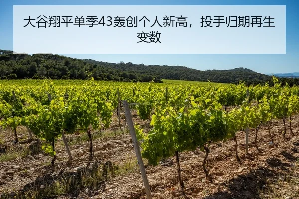 大谷翔平单季43轰创个人新高，投手归期再生变数