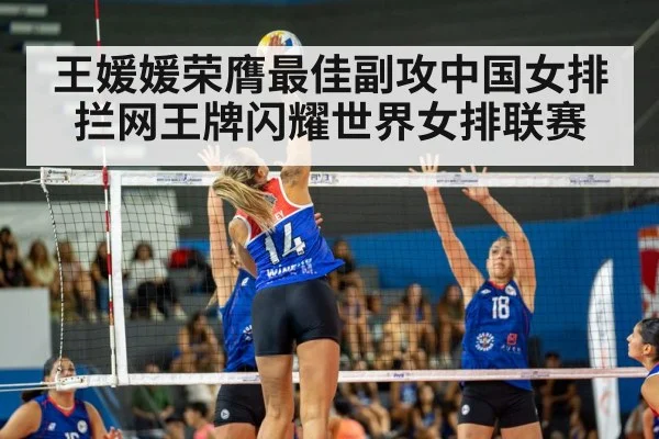 volleyball match
